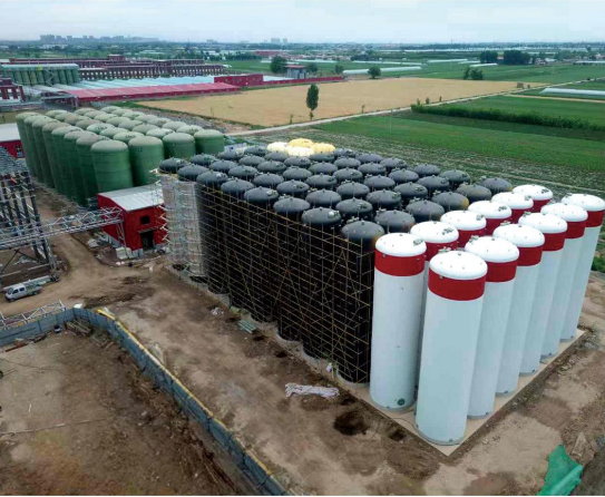 珠江桥食品酿造厂施工现场